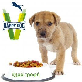 vet happy dog-xira